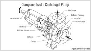 Centrifugal Pump parts name